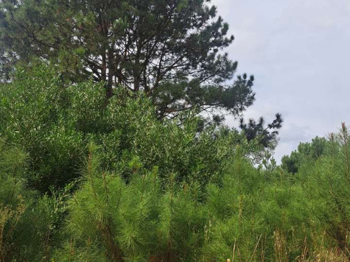 Terreno en venta en Santa María del Luján, Maldonado