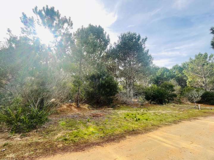 Terreno en venta en Paralela Norte a Avenida Las Mercedes, Maldonado