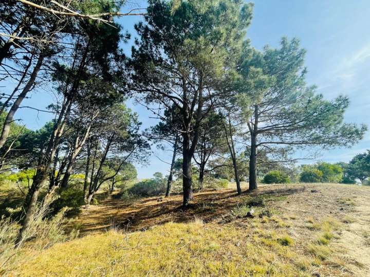 Terreno en venta en Paralela Norte a Avenida Las Mercedes, Maldonado