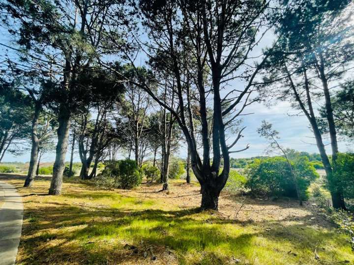 Terreno en venta en Paralela Norte a Avenida Las Mercedes, Maldonado