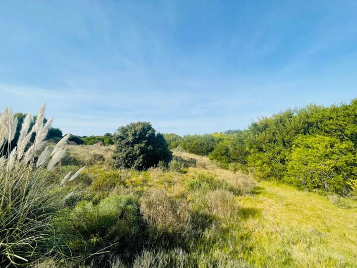 Terreno en venta en Paralela Norte a Avenida Las Mercedes, Maldonado