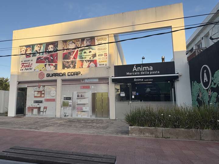 Comercial / Tienda en venta en Maldonado