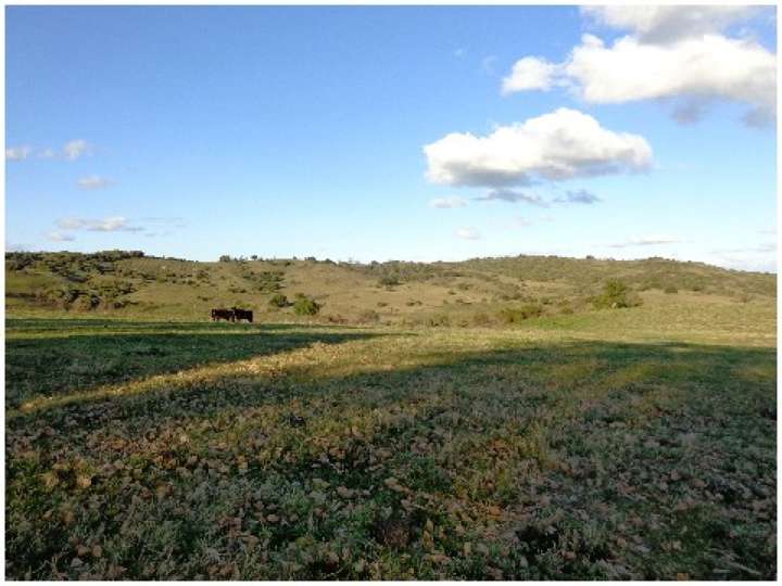 Granja en venta en Maldonado