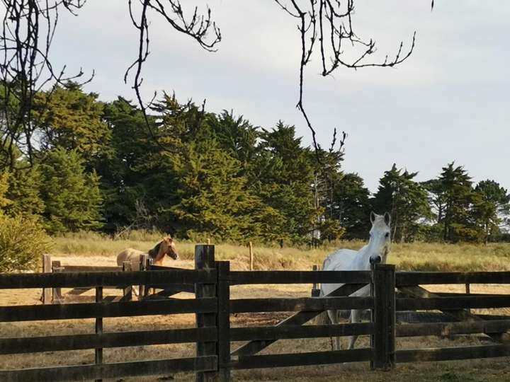 Granja en venta en Canelones
