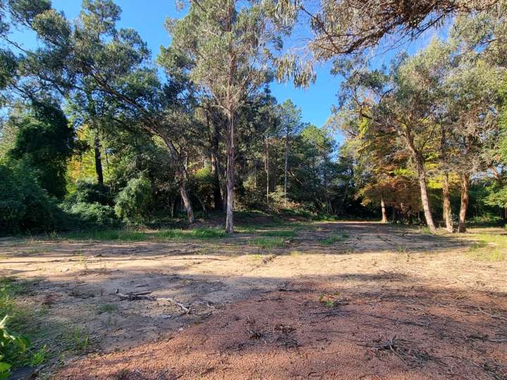 Terreno en venta en De Los Tilos, Maldonado