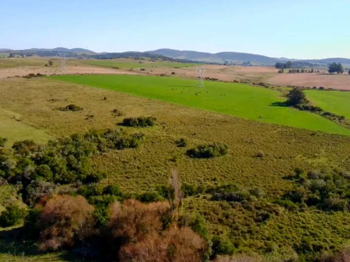 Granja en venta en Rambla General Artigas, Punta Del Este