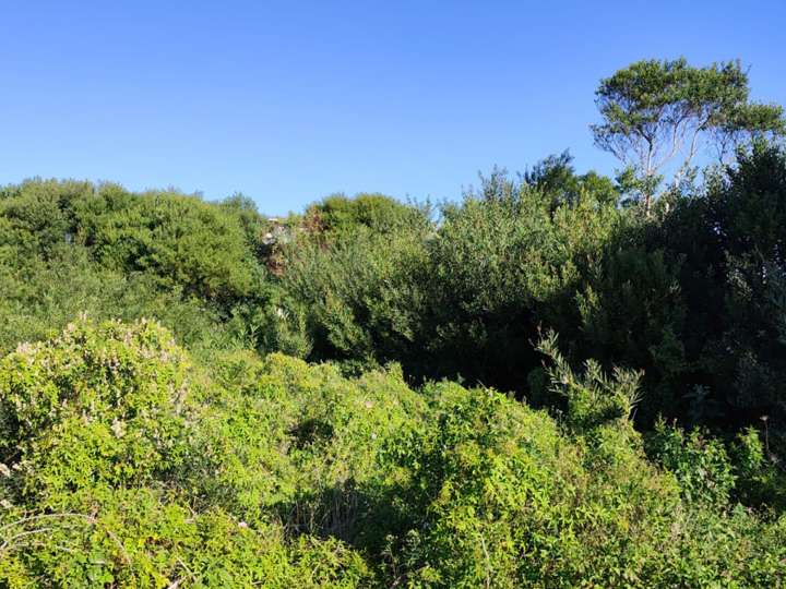 Terreno en venta en Catalina, Maldonado