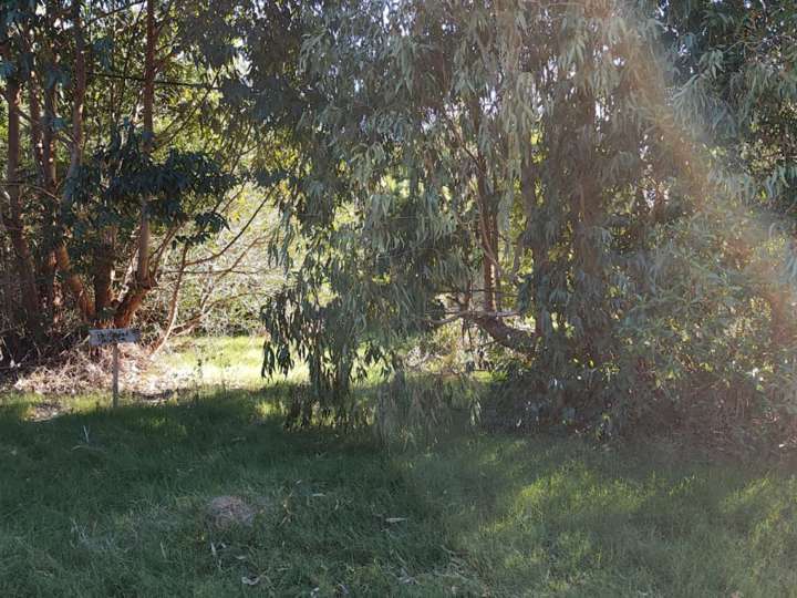 Terreno en venta en Guillermina, Maldonado