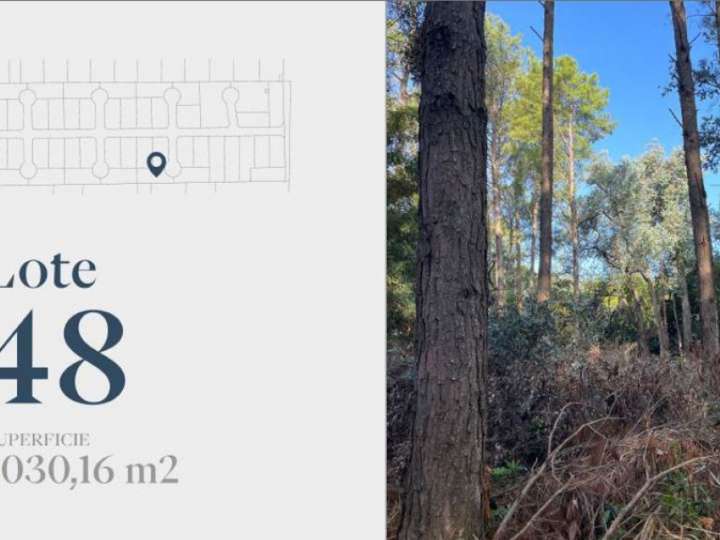 Terreno en venta en Romeo y Julieta, Maldonado