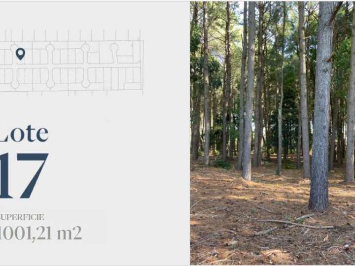 Terreno en venta en Romeo y Julieta, Maldonado