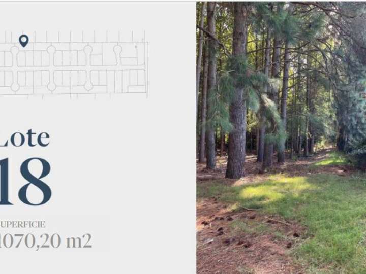 Terreno en venta en Romeo y Julieta, Maldonado