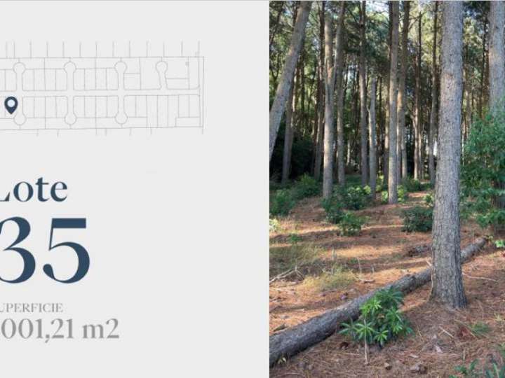 Terreno en venta en Durazno, Maldonado