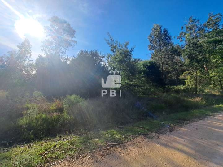Terreno en venta en Calle 10, Maldonado