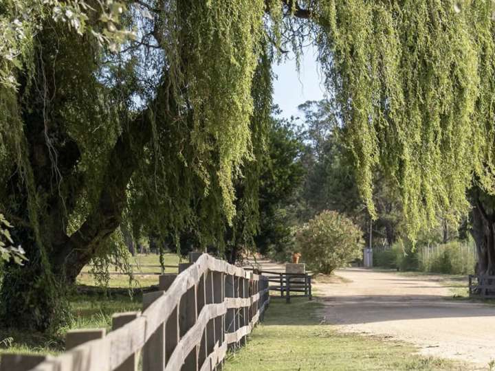 Terreno en venta en El Tesoro