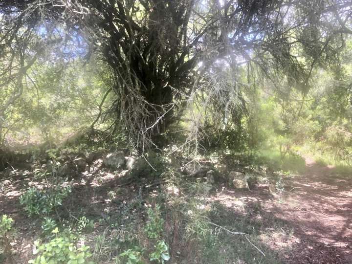 Granja en venta en Maldonado