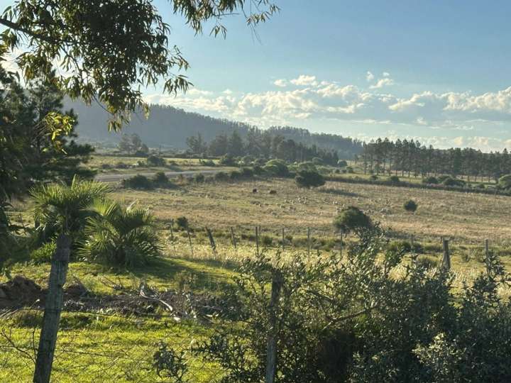 Granja en venta en Ruta 12 Doctor Luis Alberto de Herrera, Maldonado