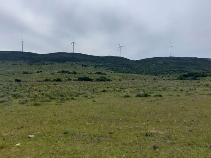 Granja en venta en Rambla General Artigas, Punta Del Este