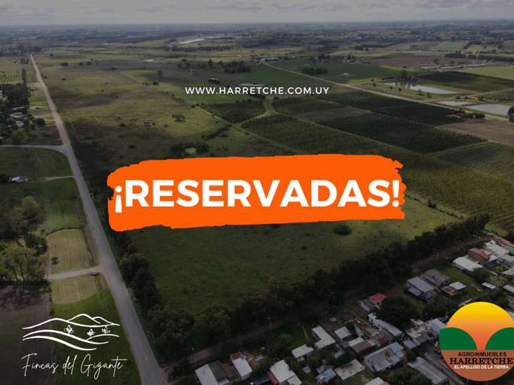 Granja en venta en Rocha, Canelones