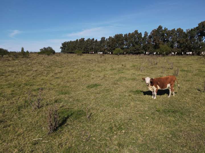 Granja en venta en Rocha, Canelones