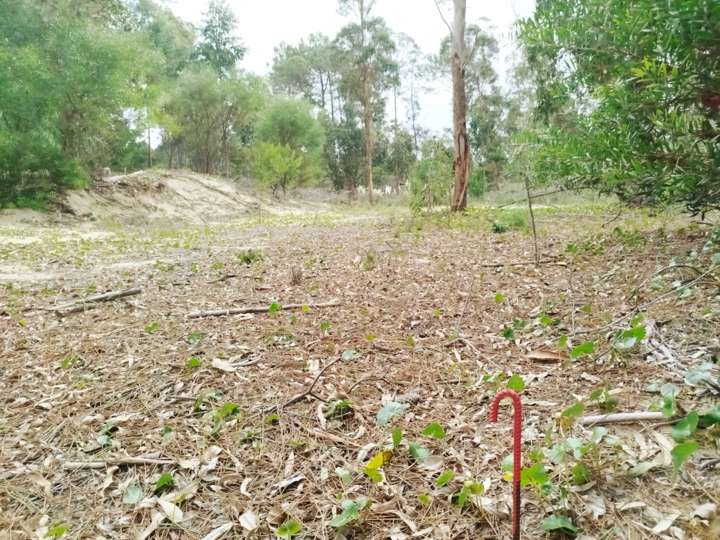 Terreno en venta en Calle 6, Rocha