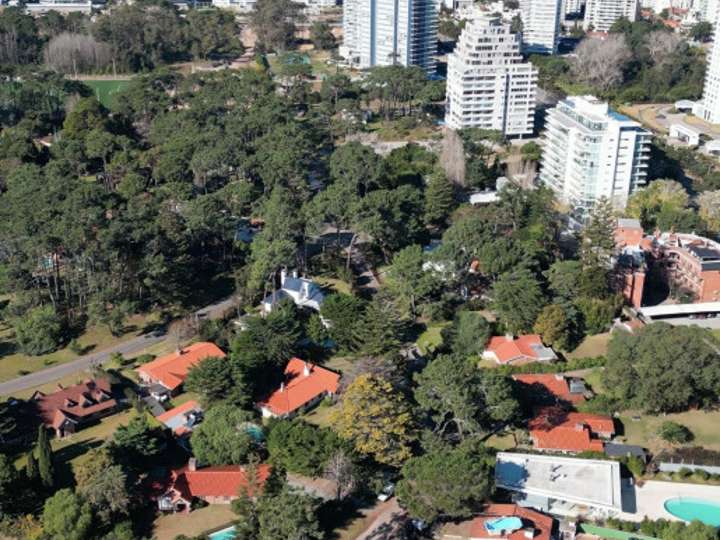Comercial / Tienda en alquiler en Avenida Orlando Pedragosa Sierra, Punta Del Este
