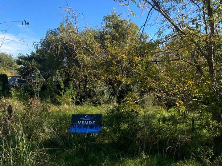 Terreno en venta en Real de San Carlos, Colonia