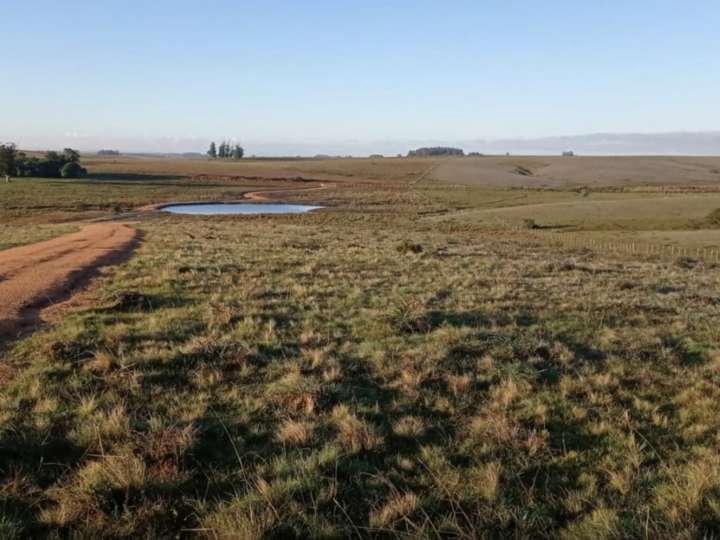 Granja en venta en Avenida Garzón, Maldonado