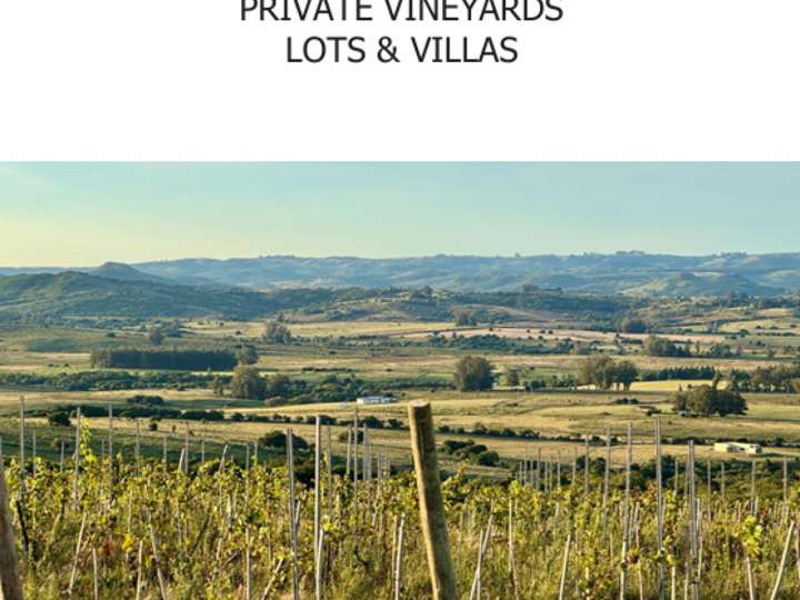 Granja en venta en Rambla General Artigas, Punta Del Este