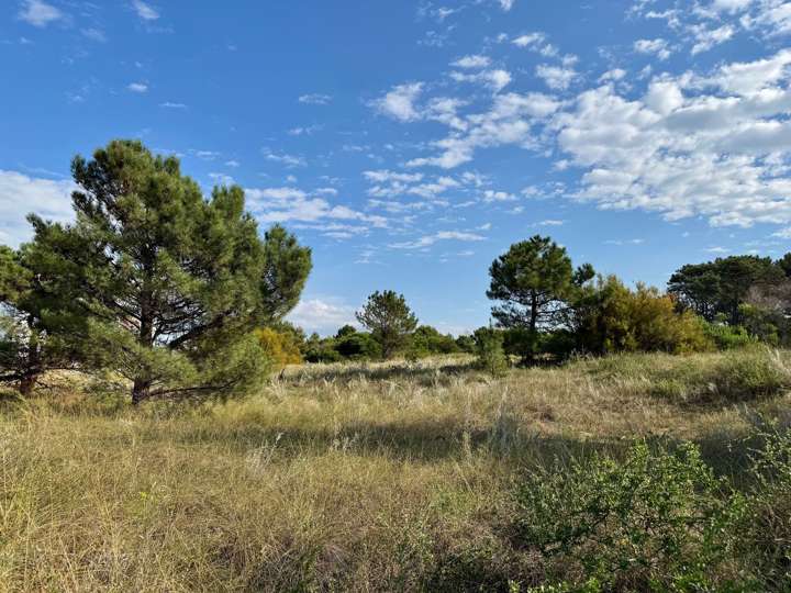 Terreno en venta en Los Flamencos, Buenos Aires