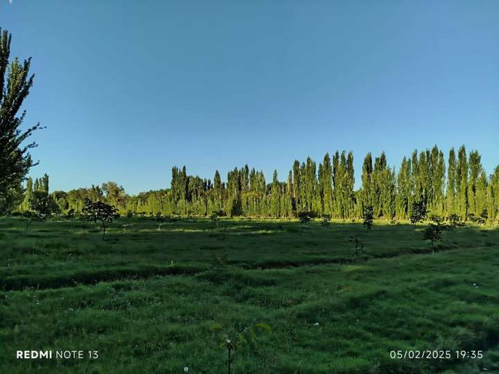 Casa en venta en Departamento General Roca, Río Negro