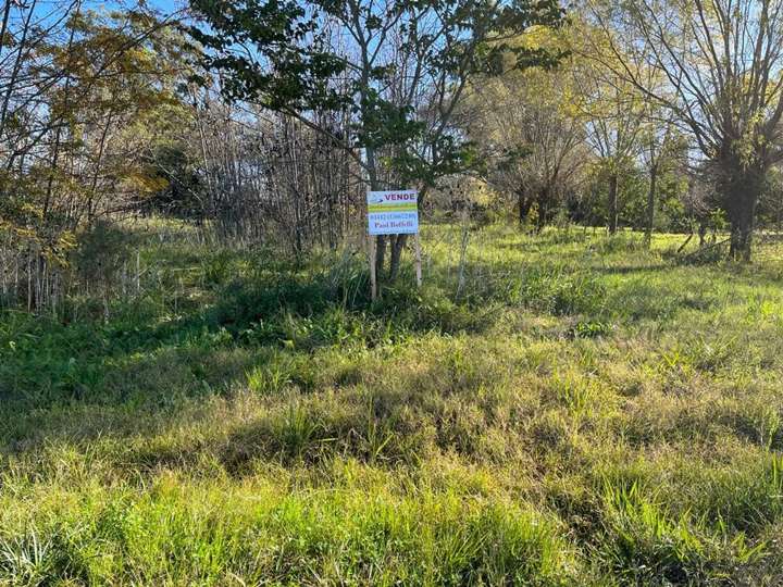 Terreno en venta en Profesor Sergio Isaias Pesaro, Entre Ríos