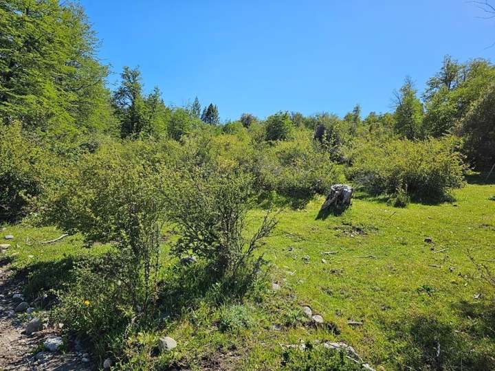 Terreno en venta en Departamento Cushamen, Chubut