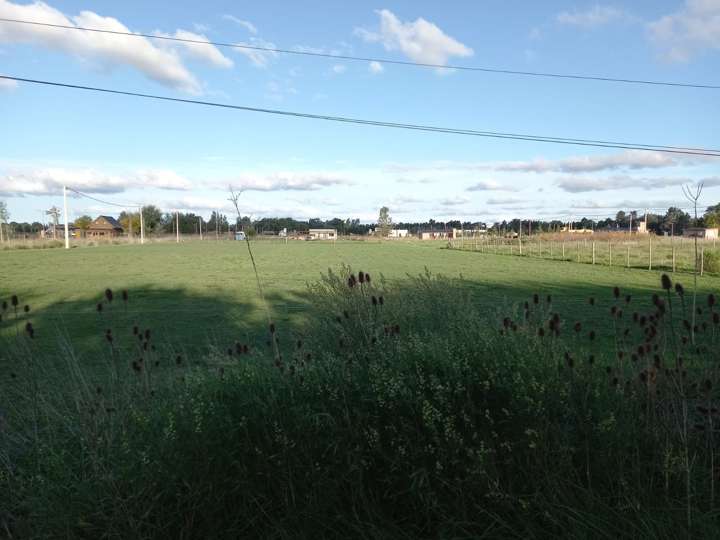 Terreno en venta en 1 Doctor Loguercio, Buenos Aires