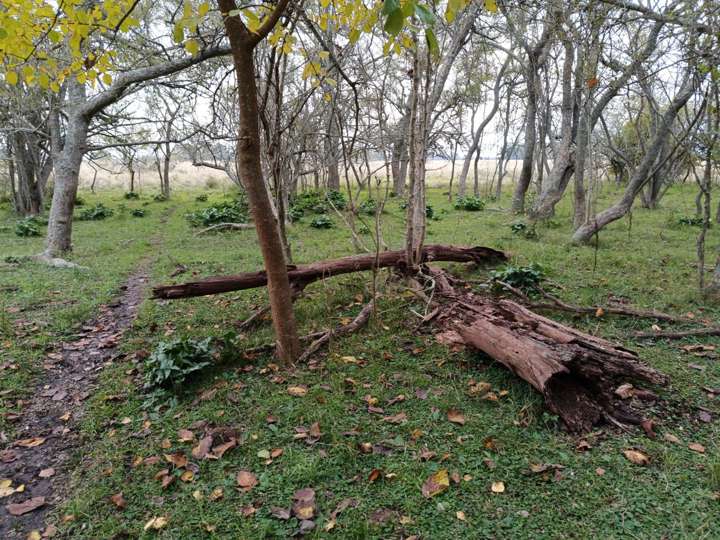 Terreno en venta en Partido de Magdalena, Buenos Aires
