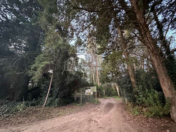Terreno en venta en Paseo 101, Villa Gesell