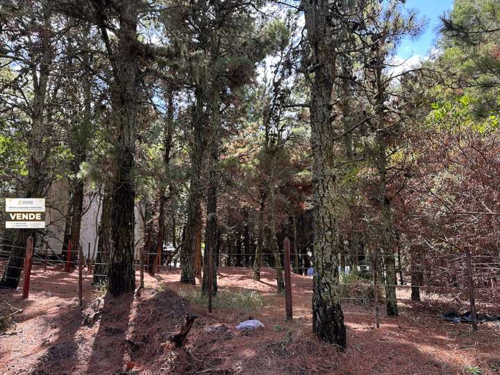 Terreno en venta en José L. Pagano, Buenos Aires