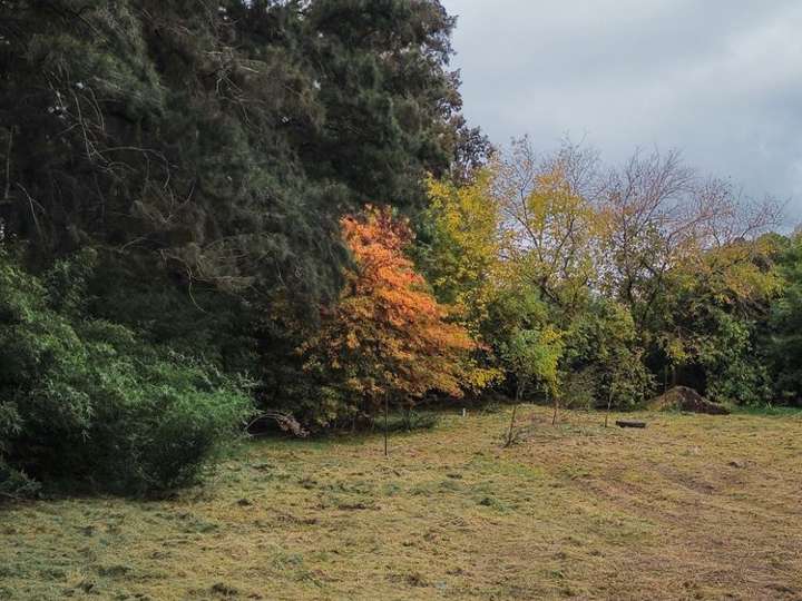 Terreno en venta en Humboldt, Buenos Aires
