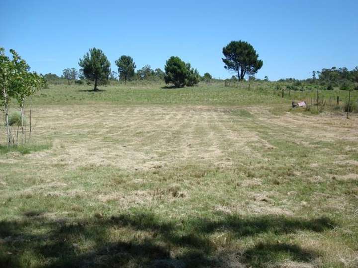 Casa en venta en Maldonado