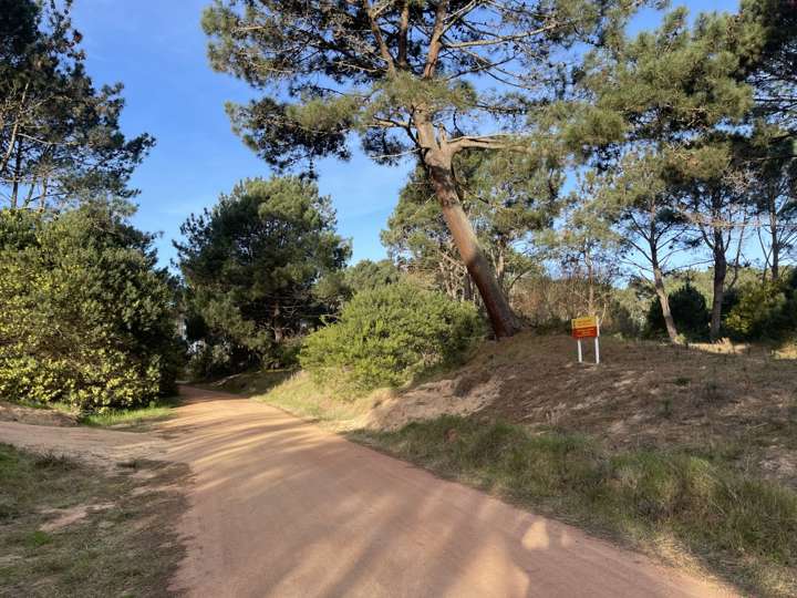 Terreno en venta en Oberon, Maldonado