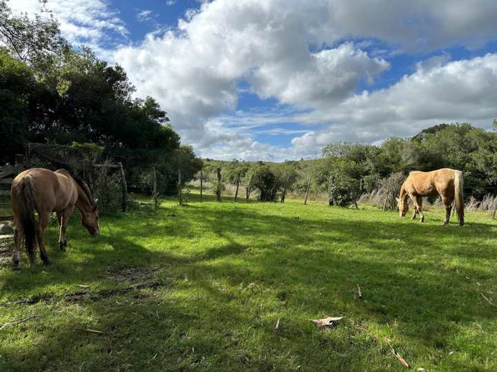 Granja en venta en Rambla General Artigas, Punta Del Este