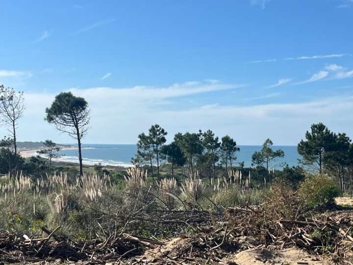 Terreno en venta en Rocha