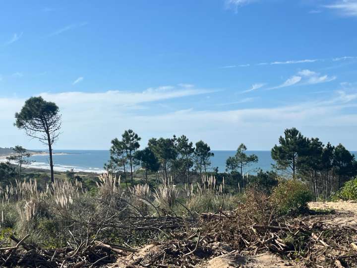 Terreno en venta en Rocha