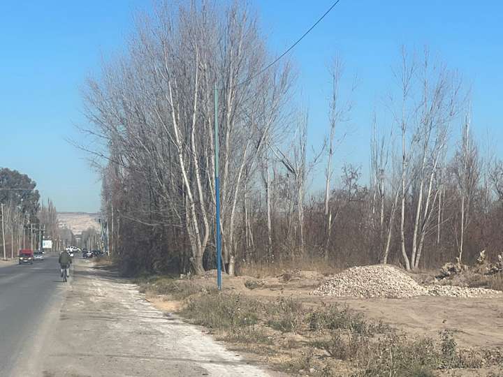 Terreno en venta en Los Olivillos, Río Negro