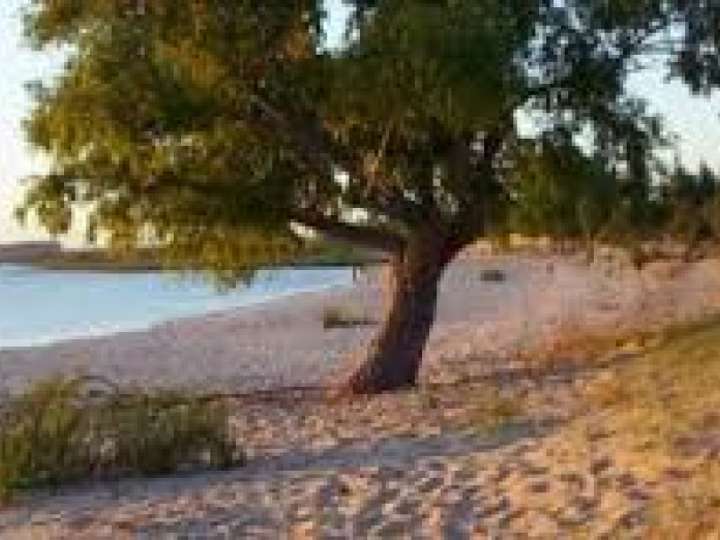 Granja en venta en Colonia