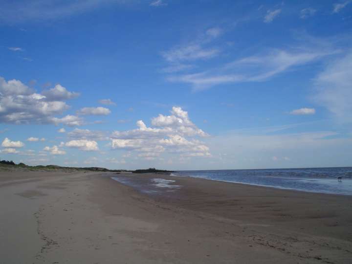 Granja en venta en Colonia