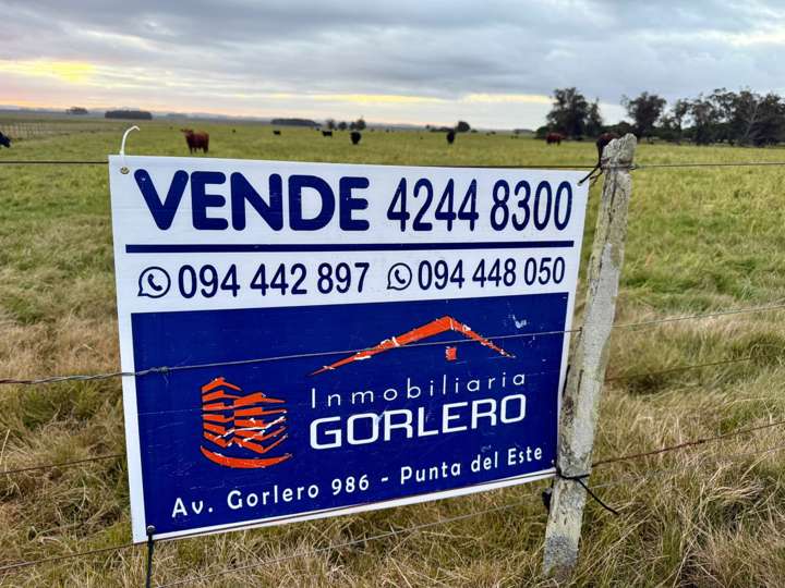 Granja en venta en Rocha