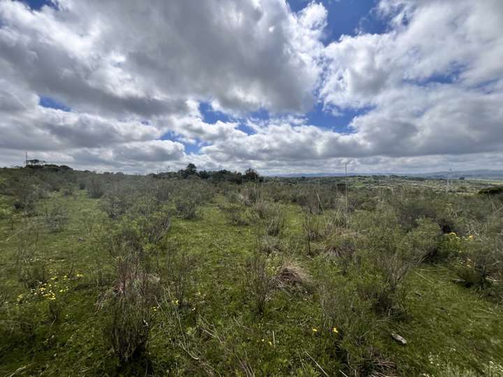 Granja en venta en Rambla General Artigas, Punta Del Este