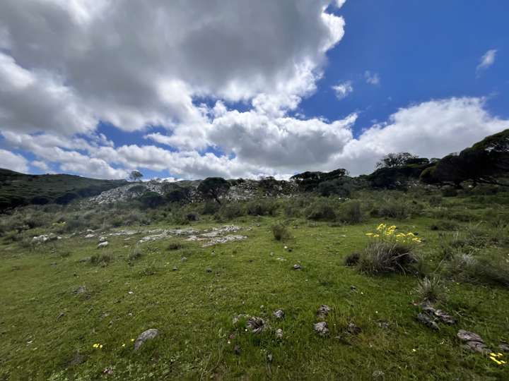 Granja en venta en Rambla General Artigas, Punta Del Este