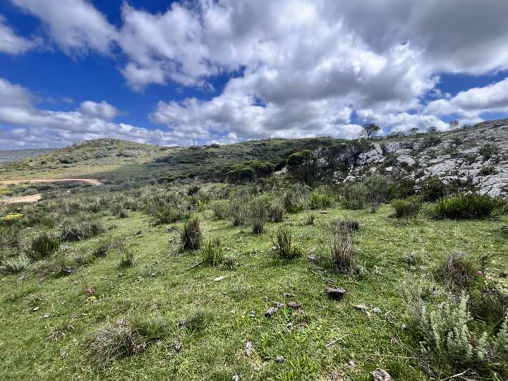 Granja en venta en Rambla General Artigas, Punta Del Este