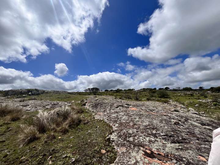 Granja en venta en Rambla General Artigas, Punta Del Este